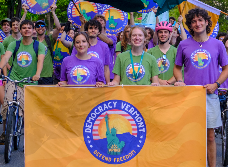 Democracy Vermont T-Shirt
