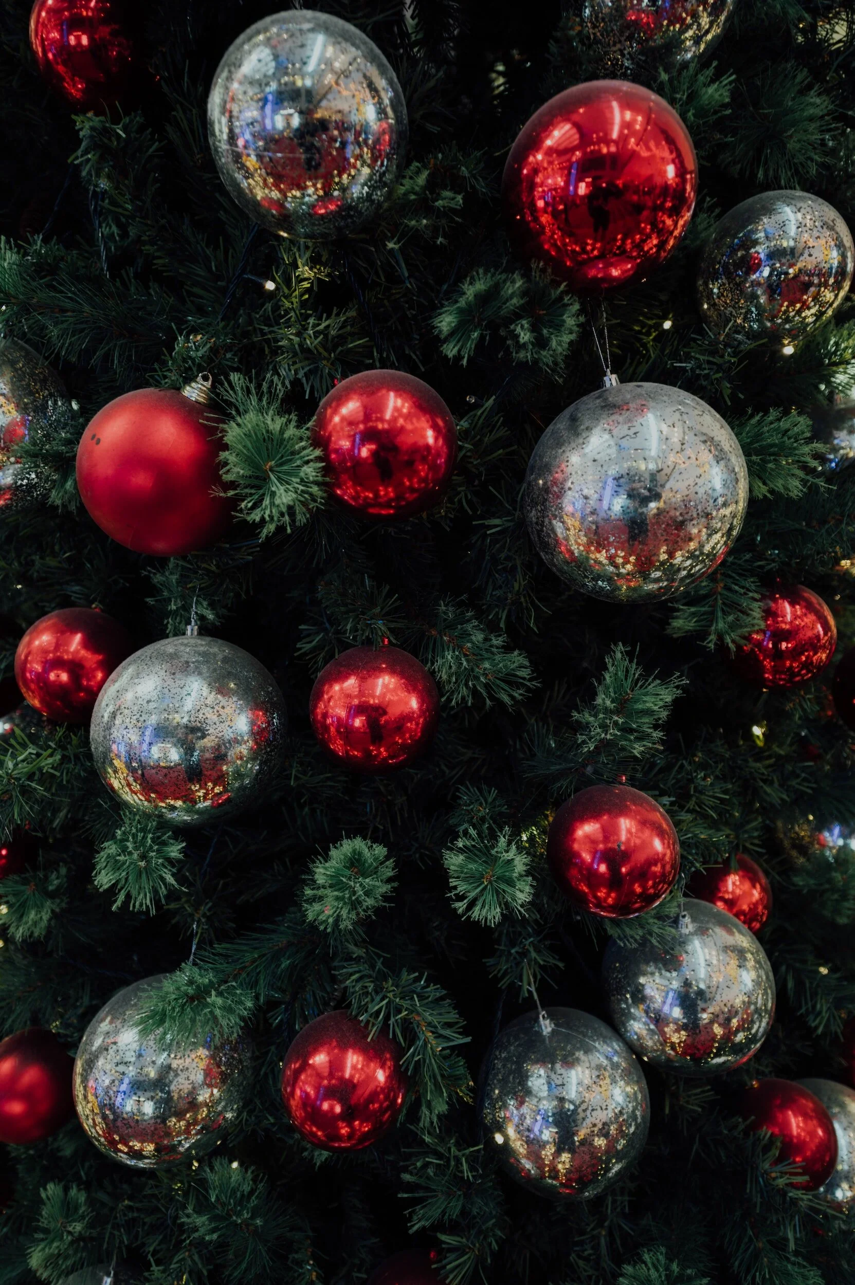 Participant Info — Light Up The Parks Holiday Parade