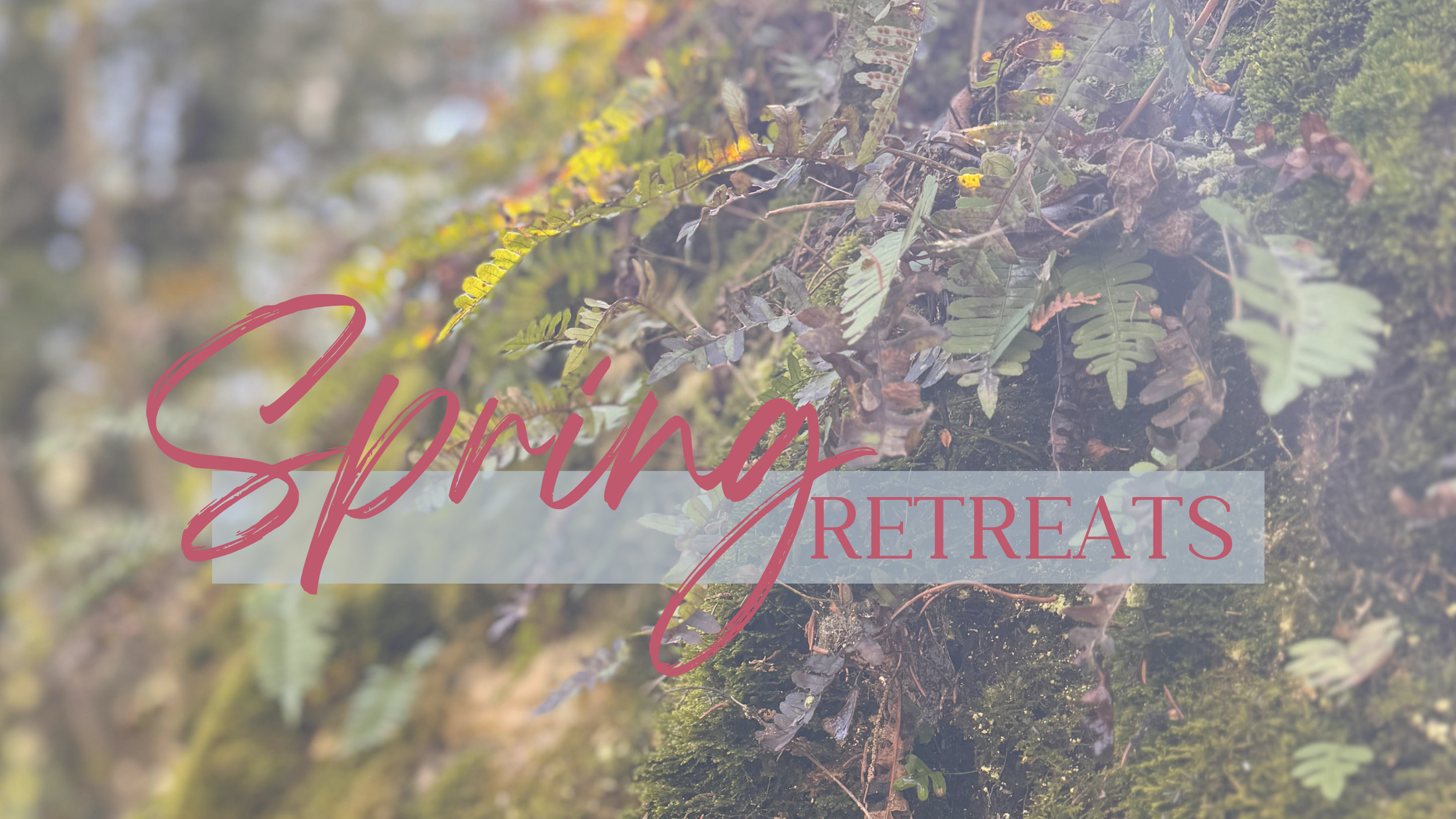 Spring Retreats
