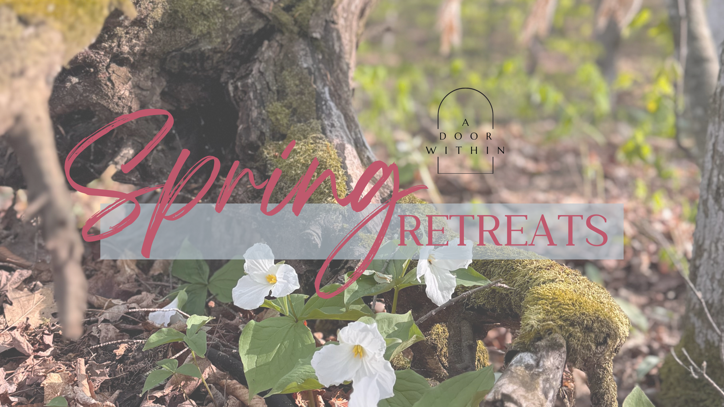 Spring Yoga Retreats — A Door Within
