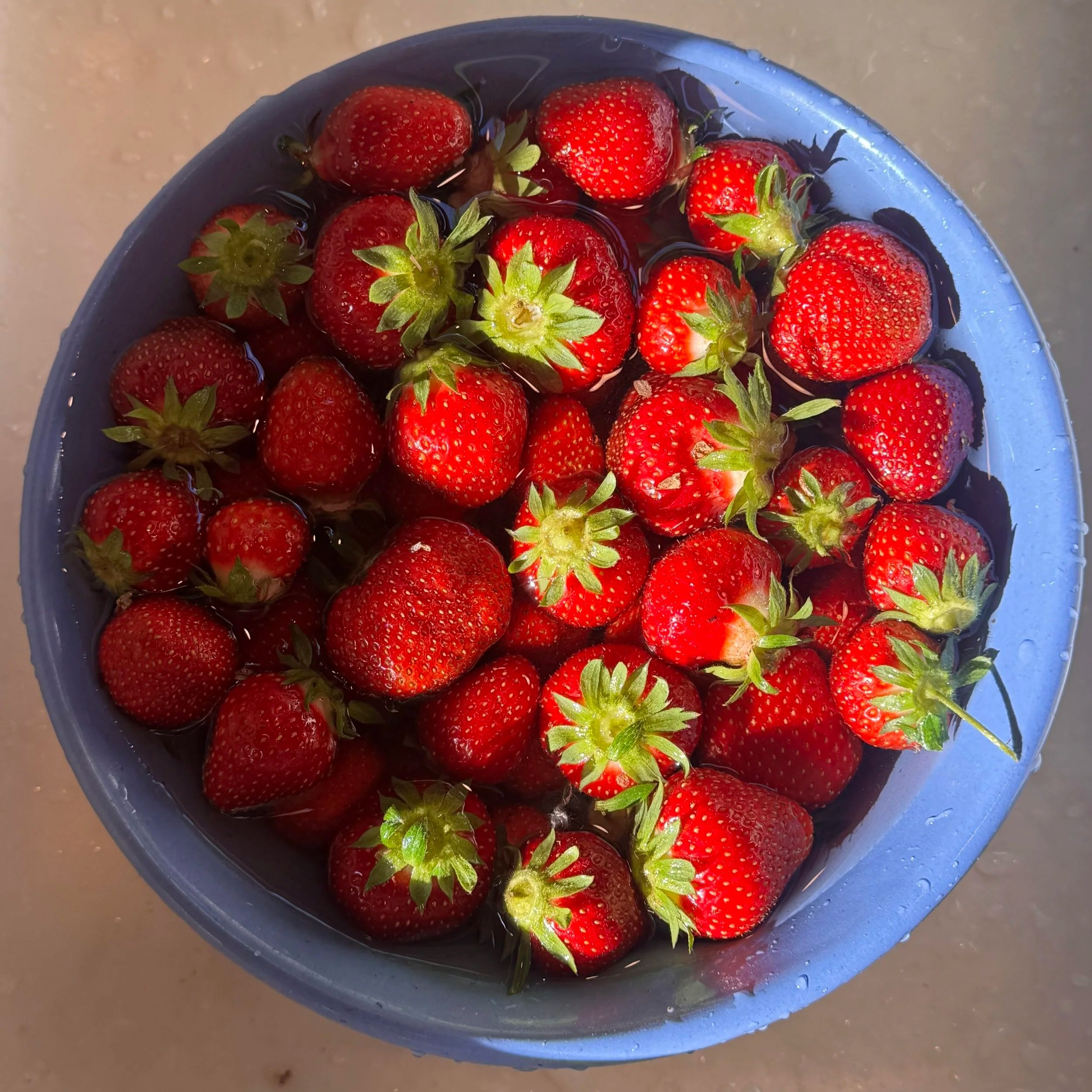 strawberries