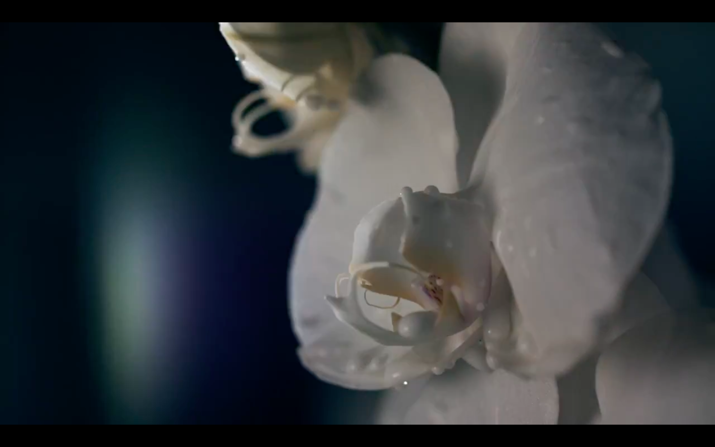 Schermata 2025-11-30 alle 09.42.40.png