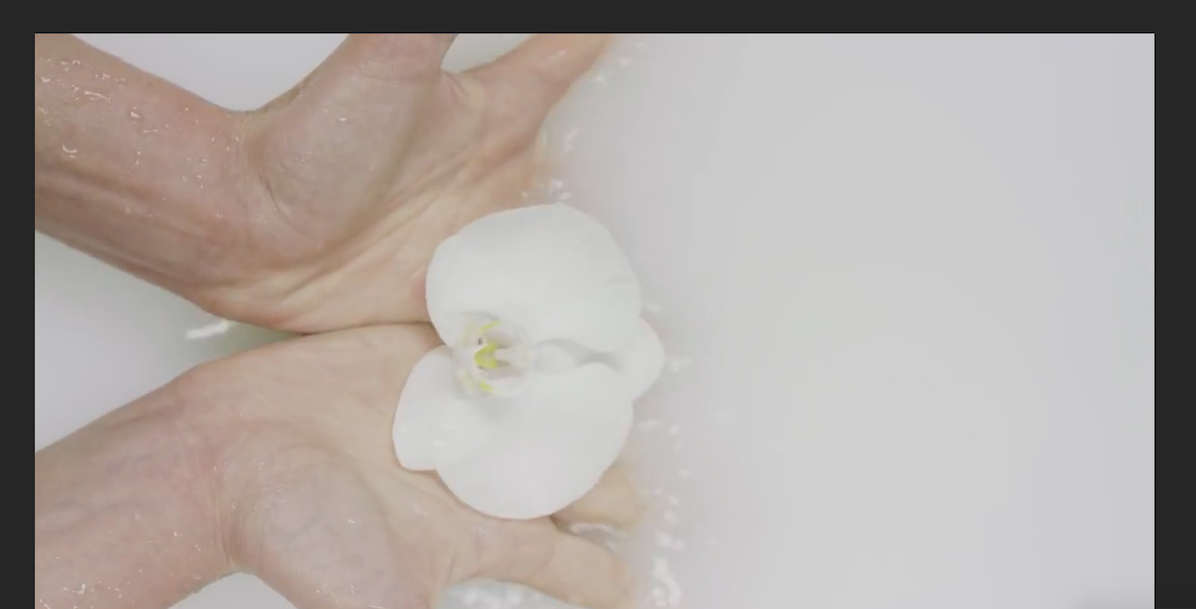 Schermata 2025-11-30 alle 09.36.43.png