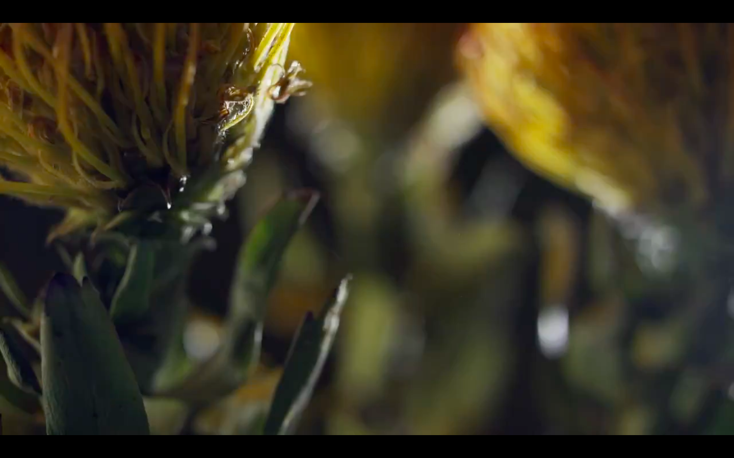 Schermata 2025-11-30 alle 09.42.35.png