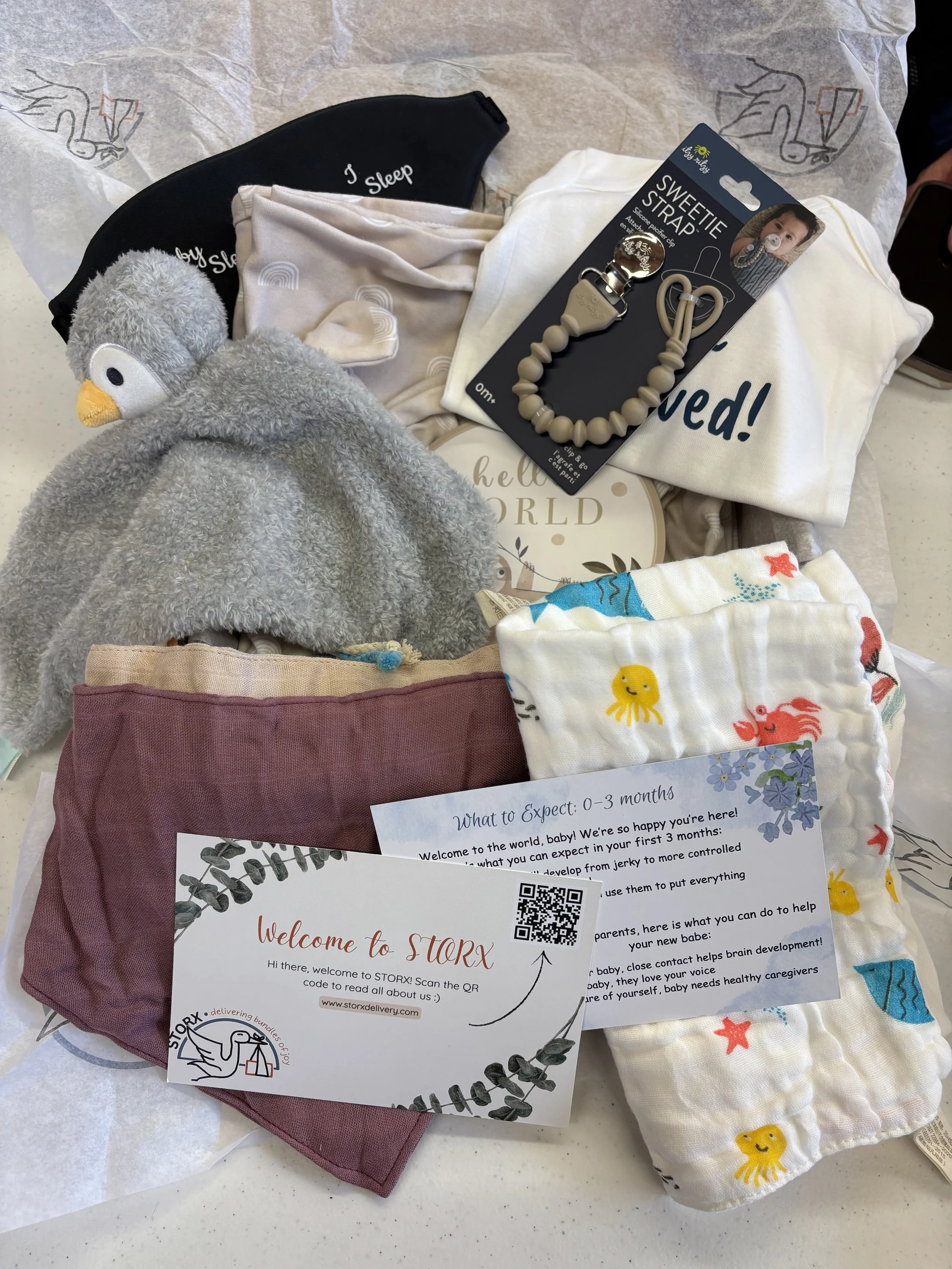 Storx Delivery Box items for your growing baby