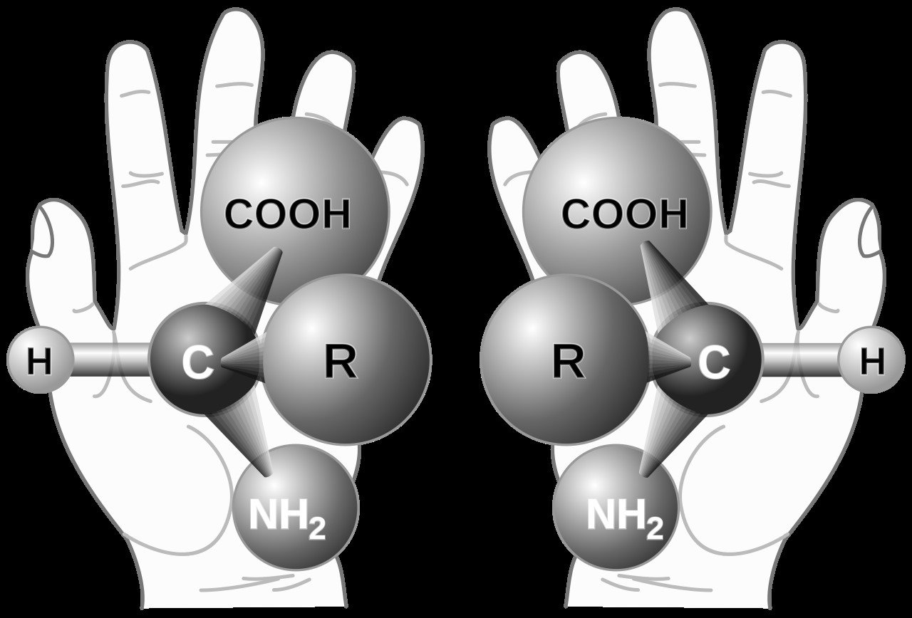 Origin of life shows that God exists