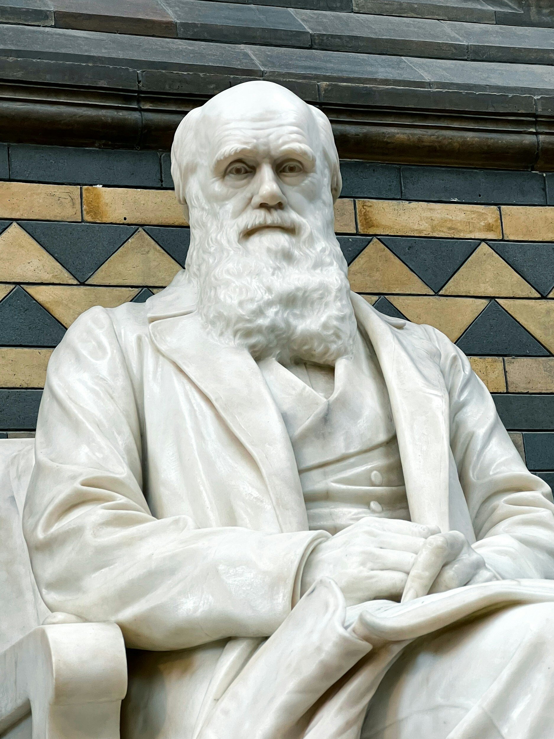 Charles Darwin on music