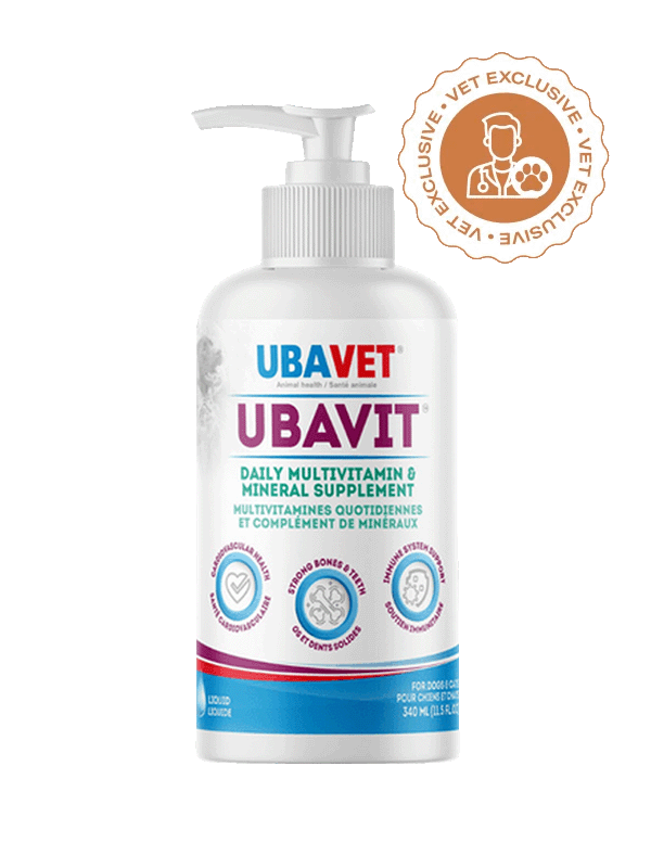 WaggleMail_Ubavet.png