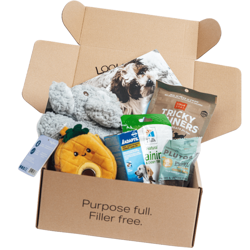Dog Subscription Boxes Chewy Dog Boxes Subscription Boxes Chewy