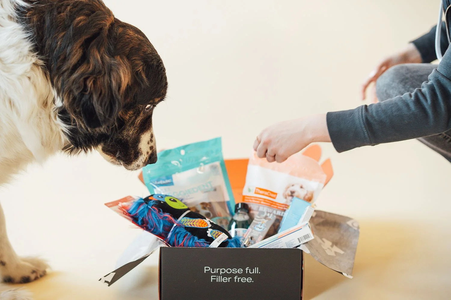 Waggle Mail Dog Subscription Box Canada