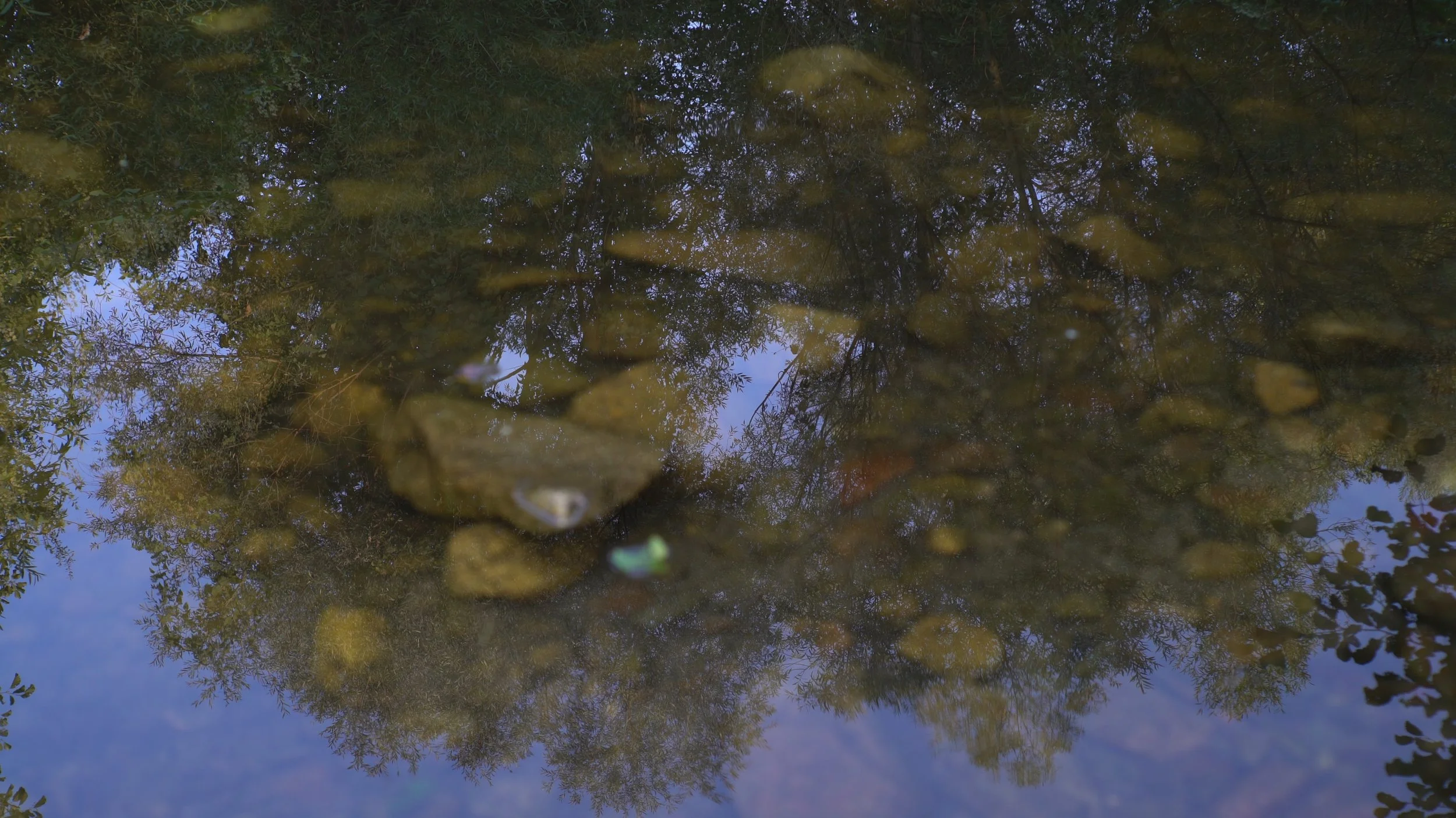 i_have_a_song_still_5.jpg