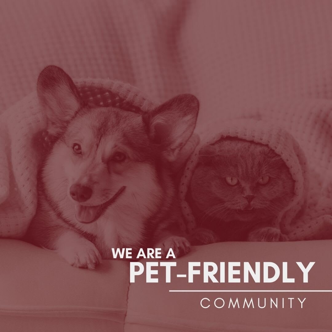 Did you know we are pet-friendly!? We LOVE our four-legged residents! Call us today if you need a new home for you and your pet! 🐾💖 #PetFriendly #PetFriendlyApartments