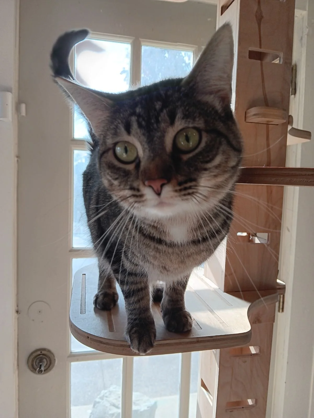 Trinity- Sponsorship