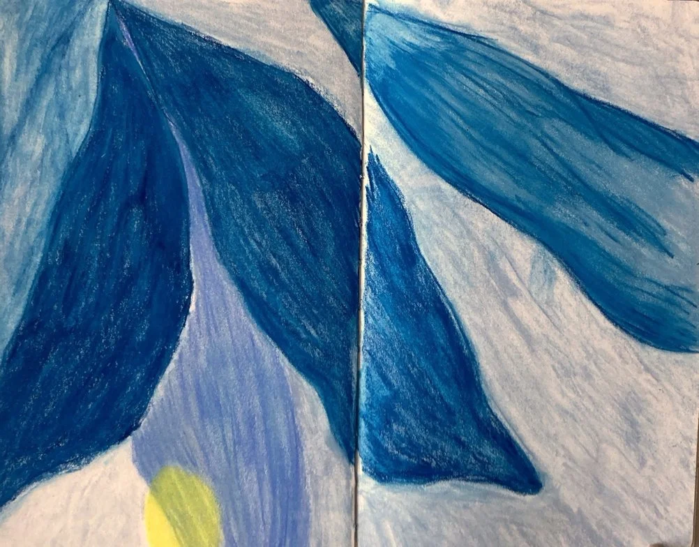 foresta bird II.jpeg