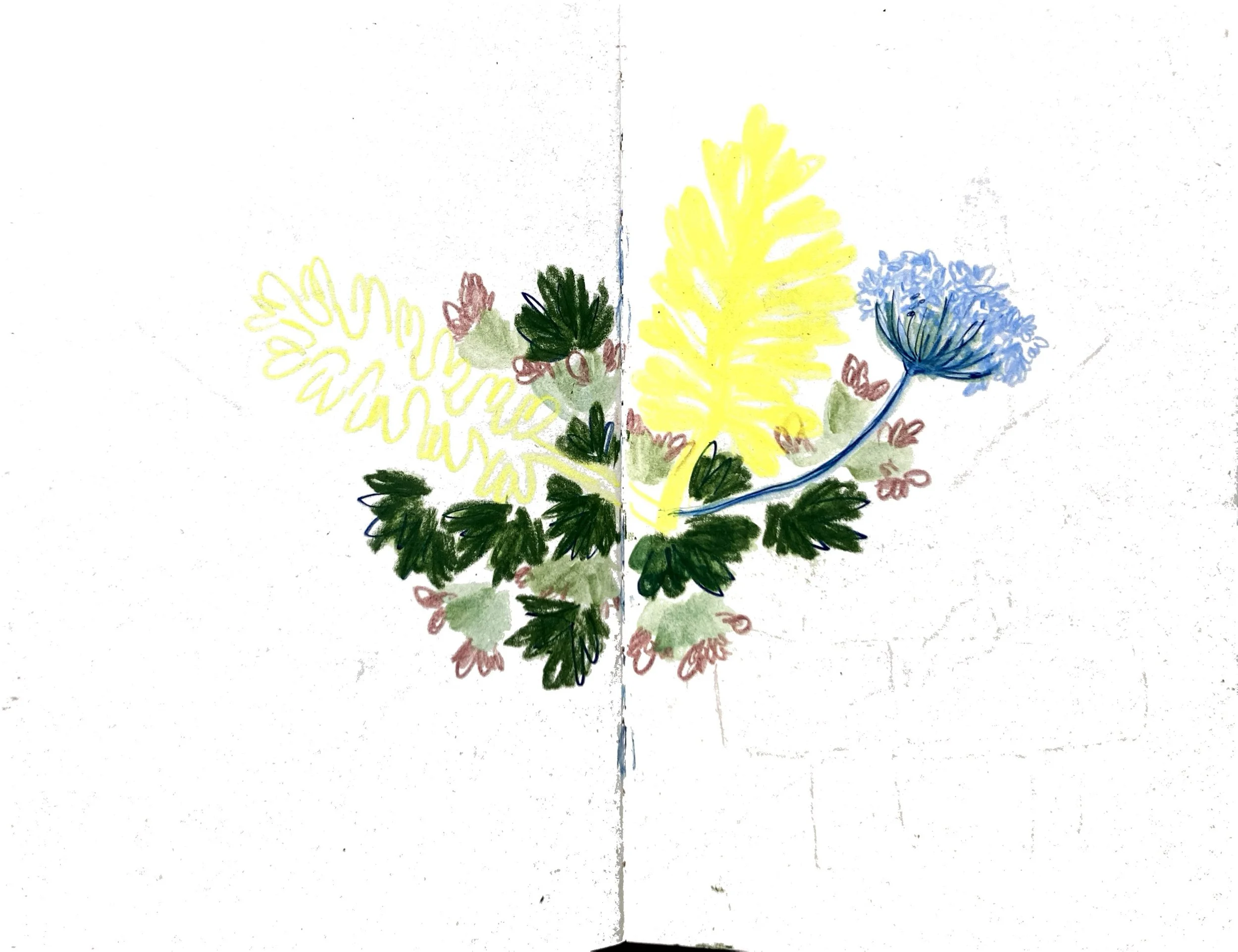 foresta wild III.jpeg