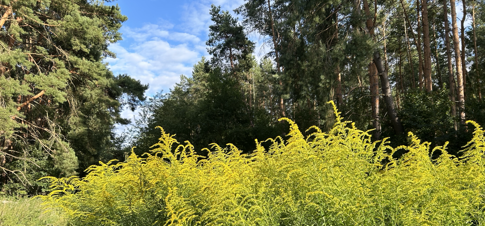 Screenshot 2026-03-18 at 05.24.04.png