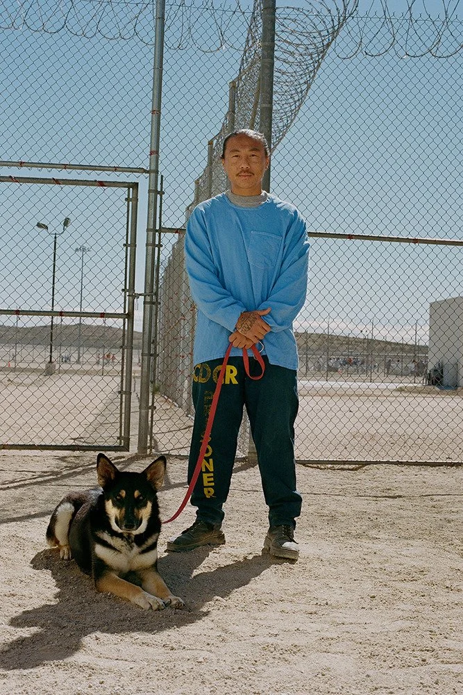 Pawsitive Change featured on KTLA. (click on image to read)