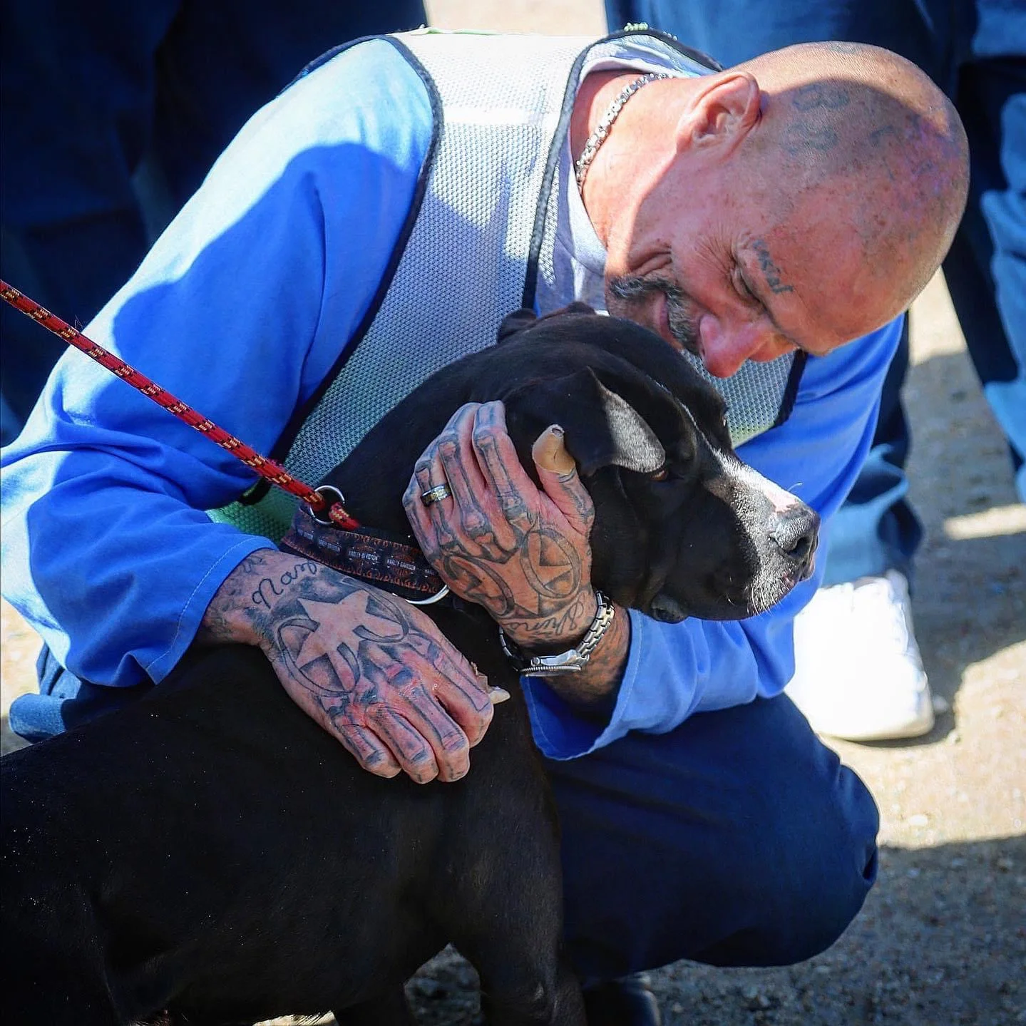 Pawsitive Change featured by the Human Works Foundation. (click on image to read)