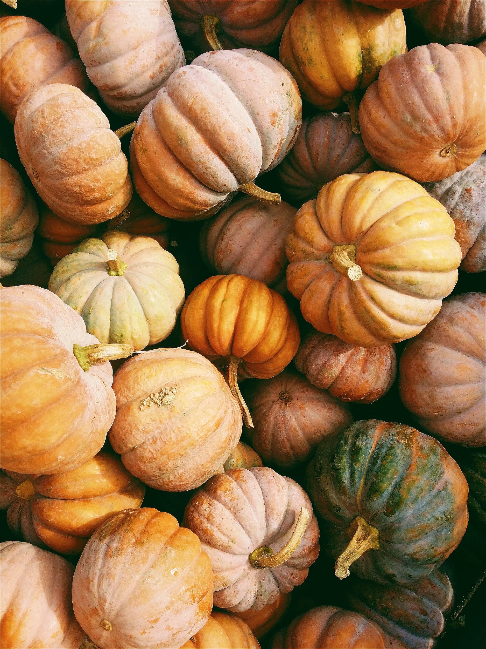 Thanksgiving