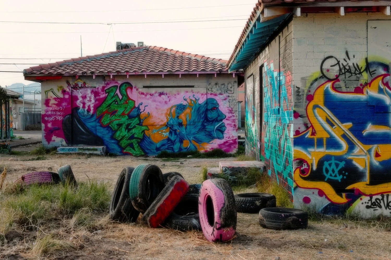 "Railroad Cottages of 18b" by Steven Dansky
16.667 x 25 Photography
NFS
EMAIL:  sfdansky@cox.net