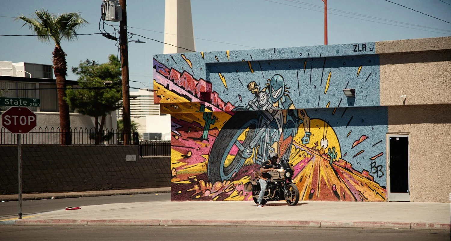 "Motorcycle Mural with Motorcyclist" by Steven Dansky
19.167 x 35.842 Photography
NFS
EMAIL:  sfdansky@cox.net