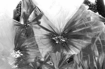 Suann Lester • "The Expanding Terrain" • Photography • 24 x 36 • This work explores the idea that realms of wonder exist within our world, just beyond the edge of the familiar. Created through macro photography of high-fire crystalline glaze surfaces