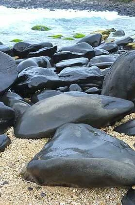 Suann Lester
"Maui - Sand, Rocks and Surf"
Photography
NFS
Artwork Description
This image is Maui, HI. From the sand, volcanic rocks and to the ocean are representative of life. The sand with bits of shells and the rocks, reminiscent of whales colo