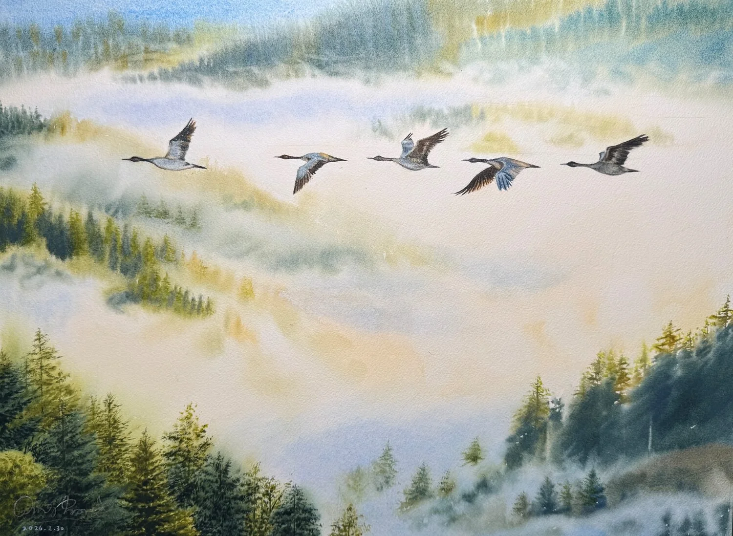 “Through the Sea of Mist” by Yanqing Huang
14.5 x 19.7 Watercolor 
$1,850
EMAIL:  13619620@qq.com
