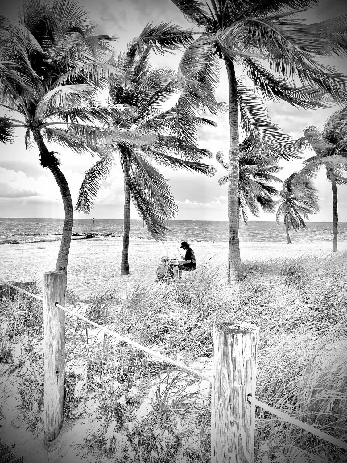 Jennifer Stephens "Seaside Drummer" 
Photography
14x11
$100
Artwork Description
In this black and white photograph, a man is captured mid-performance, playing a drum set positioned on the seashore of a tropical island.
The ocean stretches behind him,