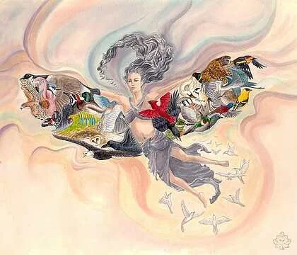 Barbara Gross • "Bird Sprit Land" • Watercolor • 12 x 14.5 • $300 • Watercolor and colored pencil.
Where do I go to get my wings? • greenmaid1@verizon.net