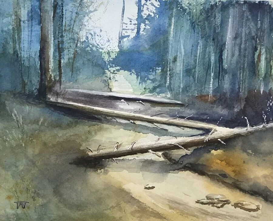 "Woodland Stream" by Terri Thompson
8 x 10 Watercolor
NFS
EMAIL:  tat5@columbia.edu