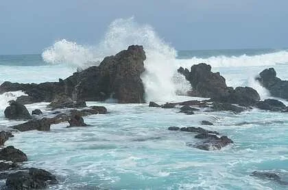Suann Lester
"Maui - Spray of Life"
Photography
NFS
Artwork Description
This is an orginal photograph taken on a Maui beach. The contrast of the volcanic rock and the ice blue of the water was almost unbelievable and certainly unforgettable.