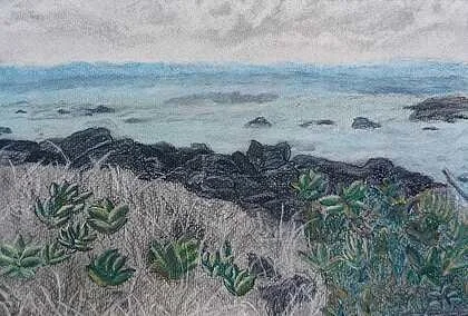Suann Lester
"Maui Surf"
Photography
9"x11"
NFS
This is a graphite, charcoal and pastel pencil drawing from an original photograph of Baldwin Beach, Maui HI. The colors and textures of the seascape were breathtaking and unforgetable.