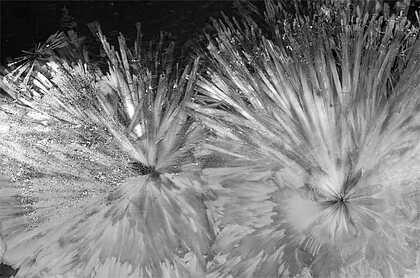 Suann Lester • "Field of Silent Bloom" • Photography • 24 x 36 • NFS • This work explores the idea that realms of wonder exist within our world, just beyond the edge of the familiar. Created through macro photography of high-fire crystalline glaze su