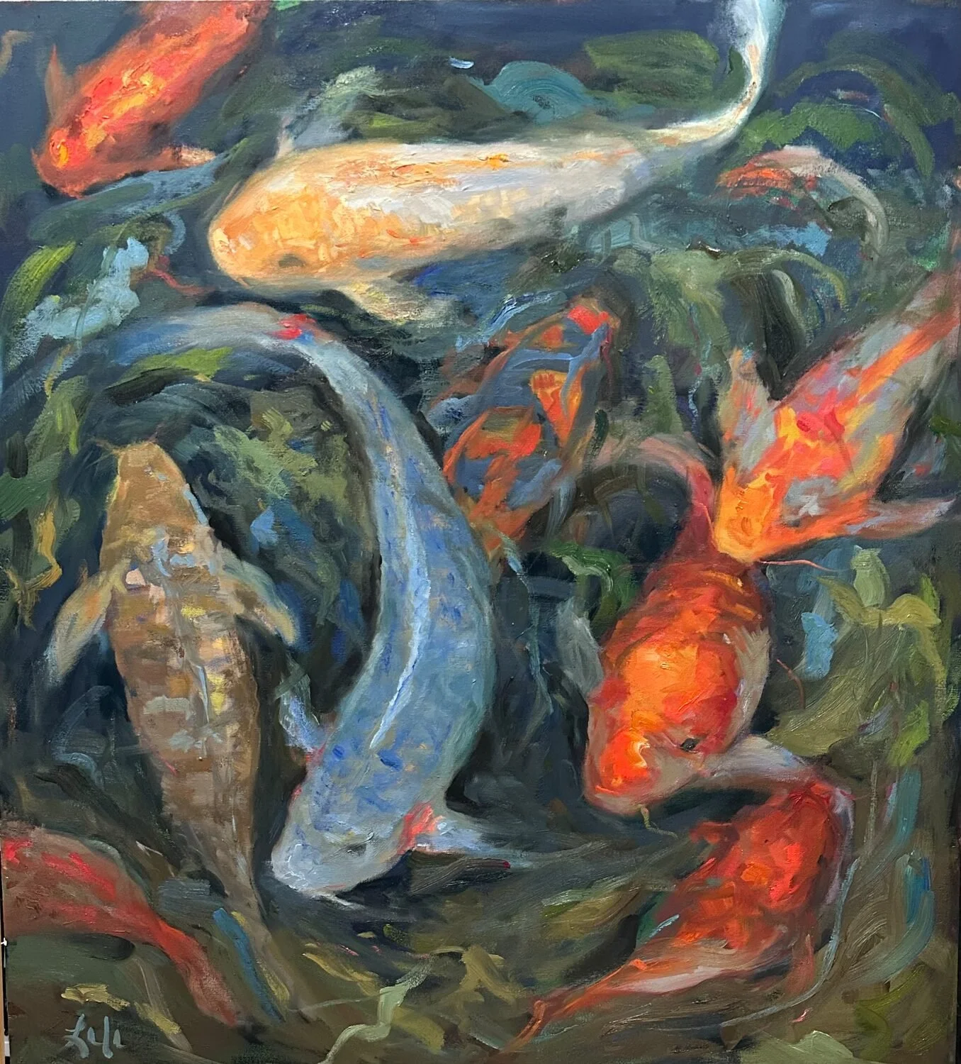 "Koi" by Laura Lawson
33.5 x 30 Oil 
$1,150
EMAIL:  lauralawson2022@gmail.com