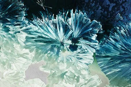 Suann Lester • "Where Form Takes Root" • Photography • 24 x 36 • NFS • This work explores the idea that realms of wonder exist within our world, just beyond the edge of the familiar. Created through macro photography of high-fire crystalline glaze su