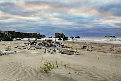 Thomas Knapp
"Seagrass and Shelter" Photography 32"x48" $3000
Artwork Description
The windswept seashore of coastal Oregon provides a plentiful supply of driftwood. Beachgoers use the supplies provided by Mother Nature to build shelters to offer a mo