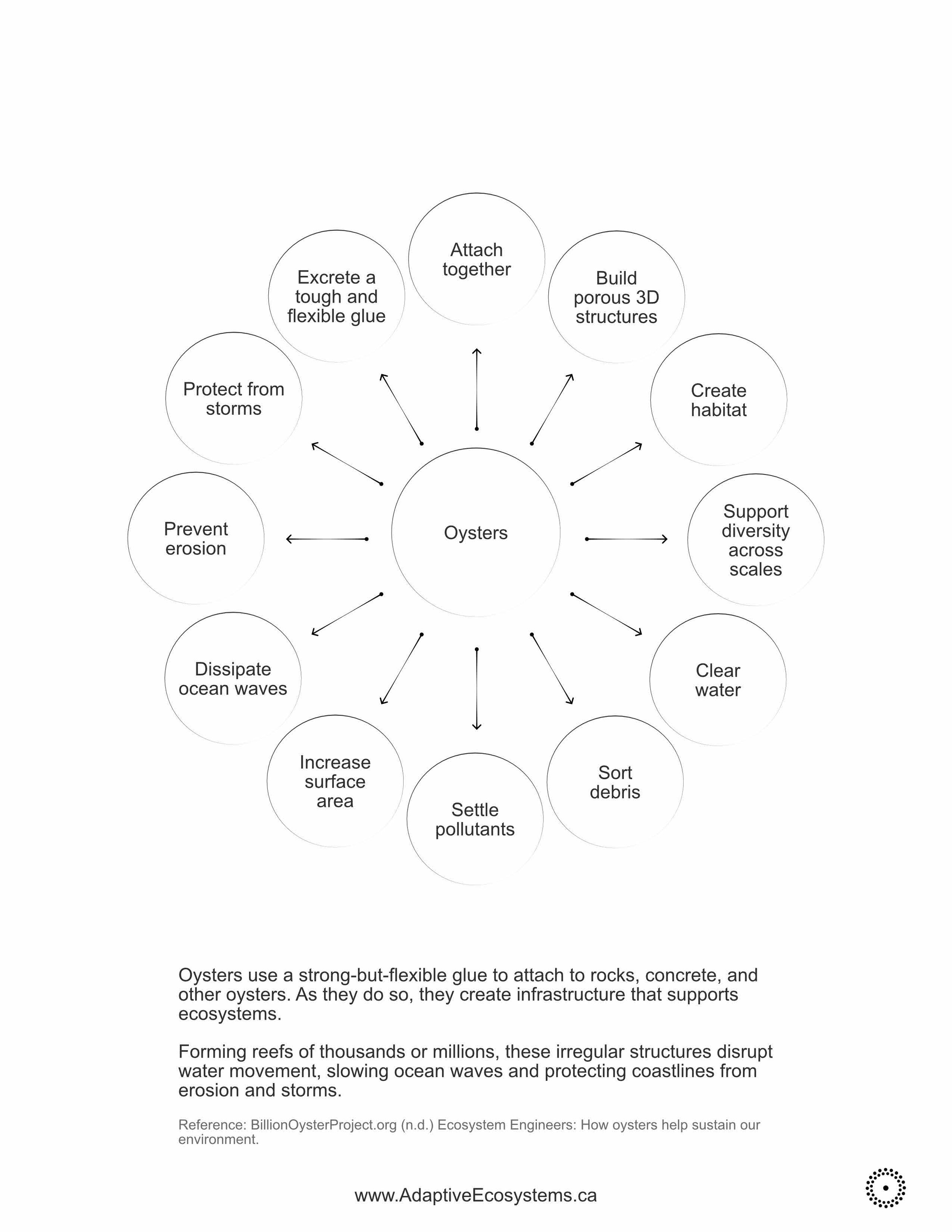 Worksheet-Oyster-2024-12_Page_2.jpg
