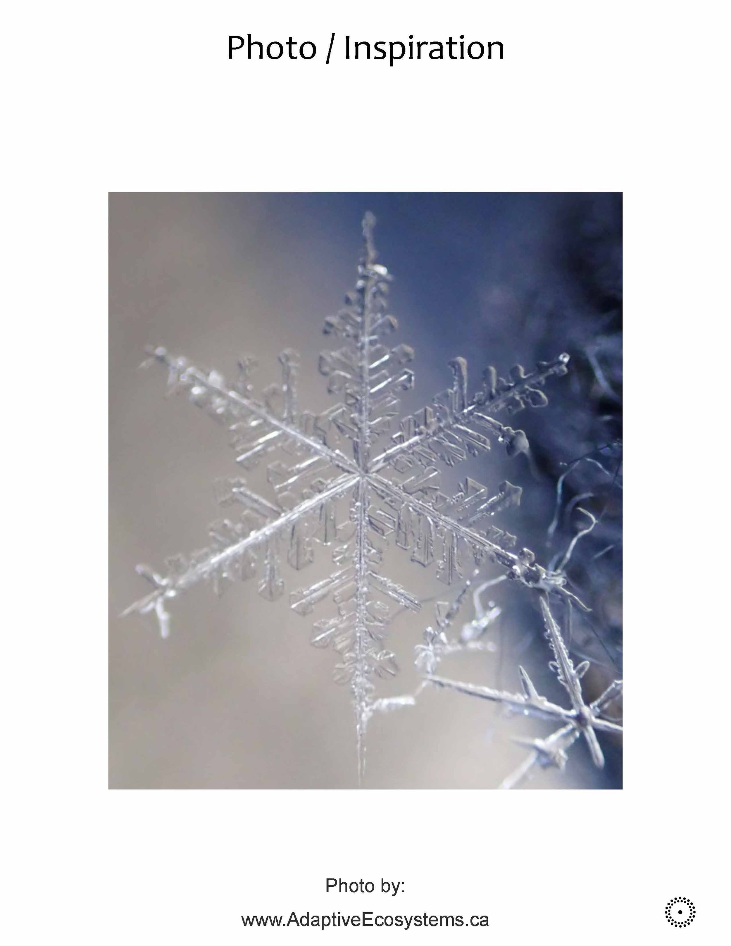 Worksheet-Snow-2025-01_Page_6.jpg