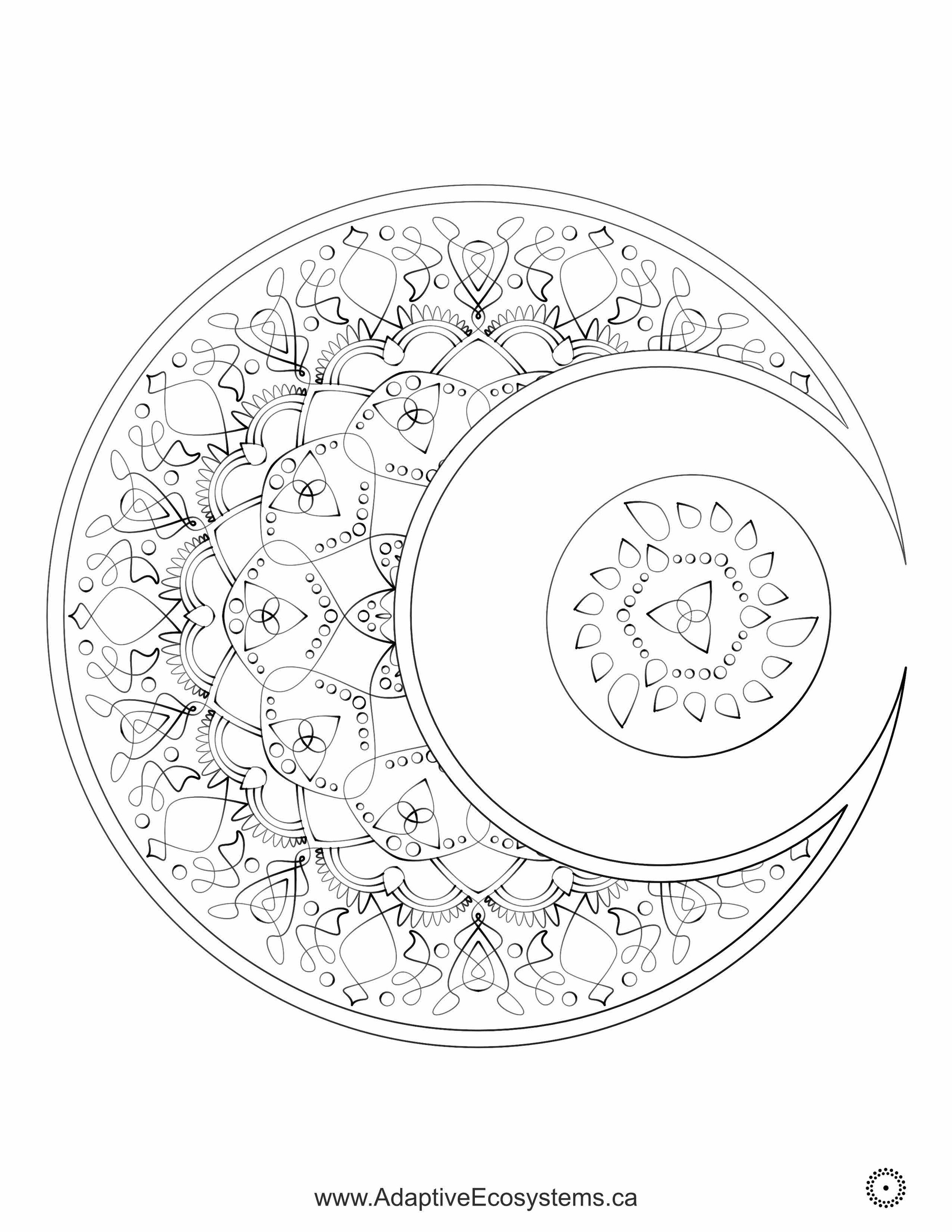 Worksheet-Moon-2025-01_Page_1.jpg