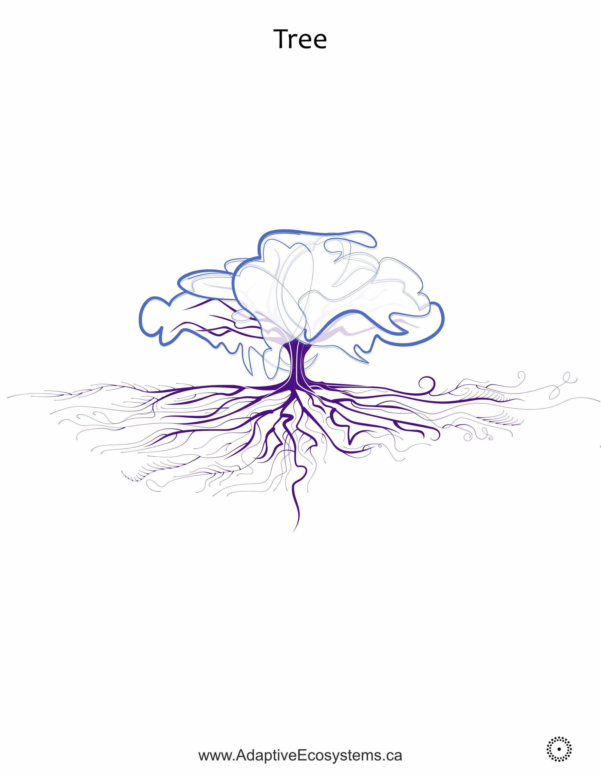 Tree-5.jpg
