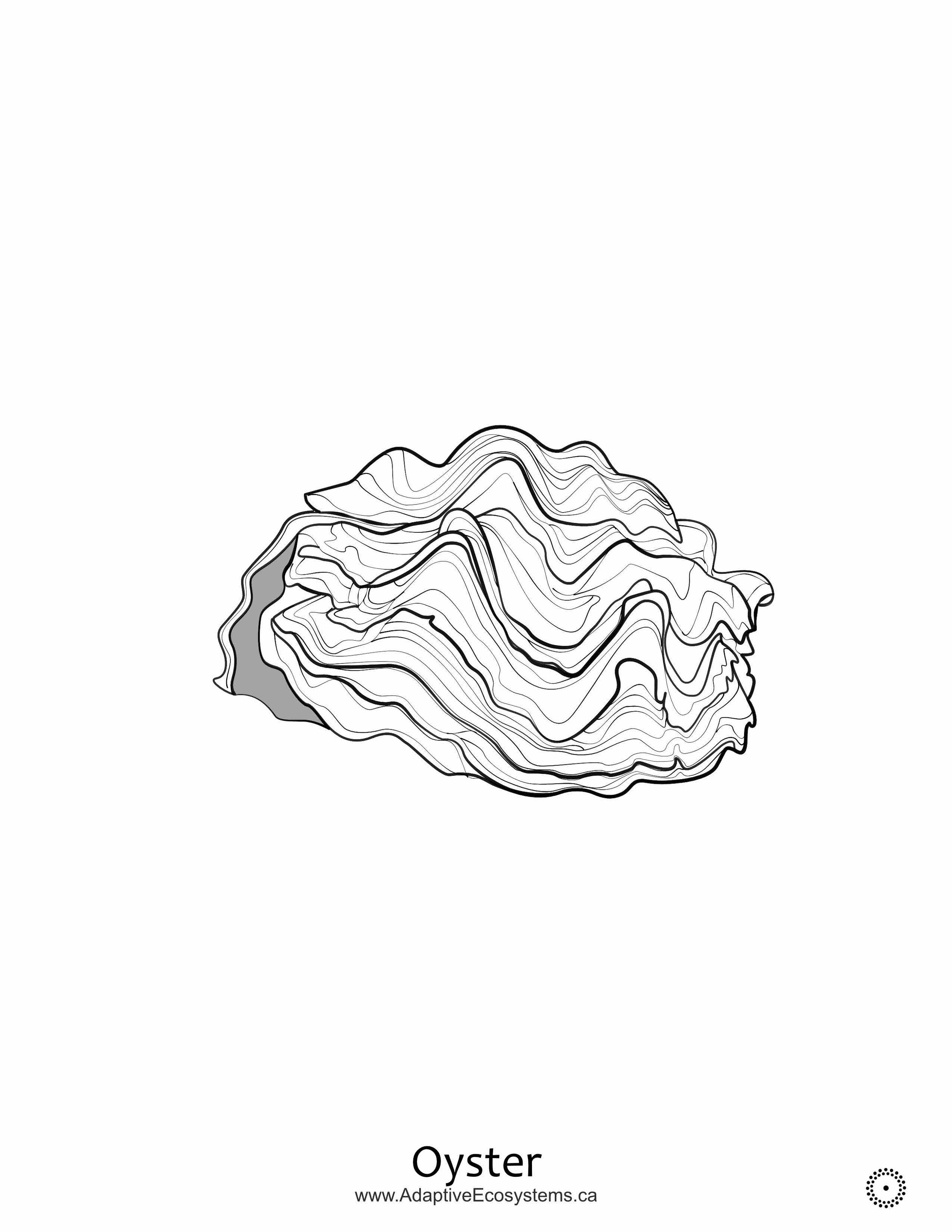 Worksheet-Oyster-2024-12_Page_5.jpg
