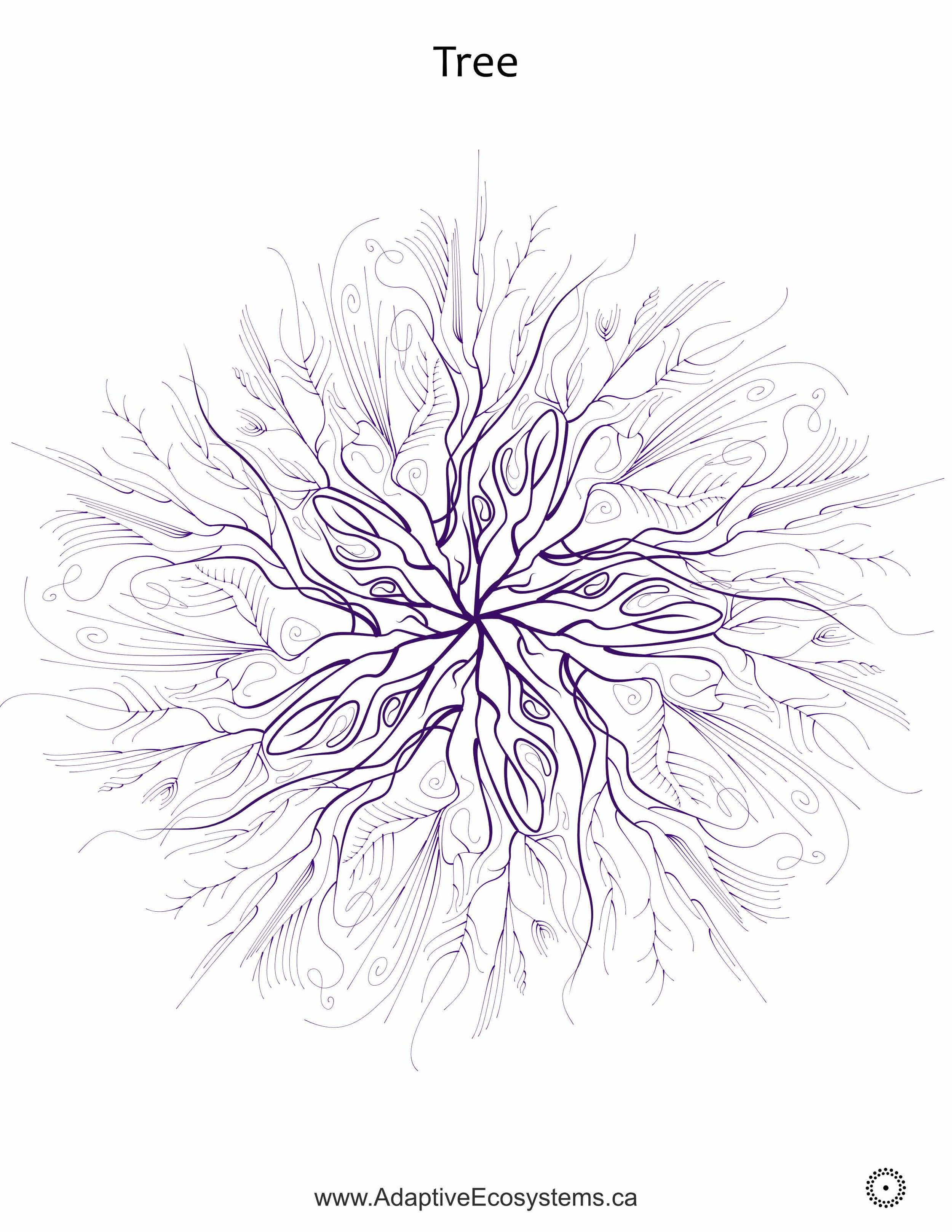 Tree-6.jpg