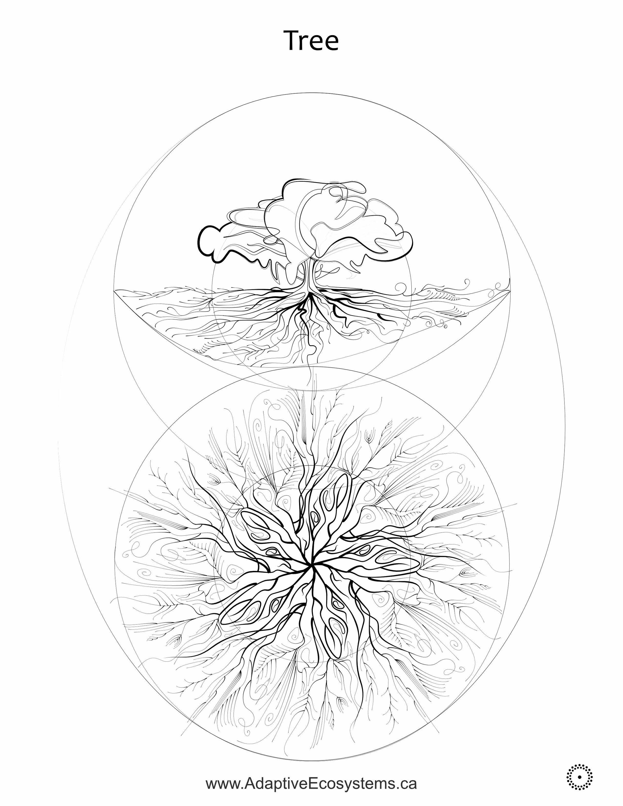 Tree-1.jpg