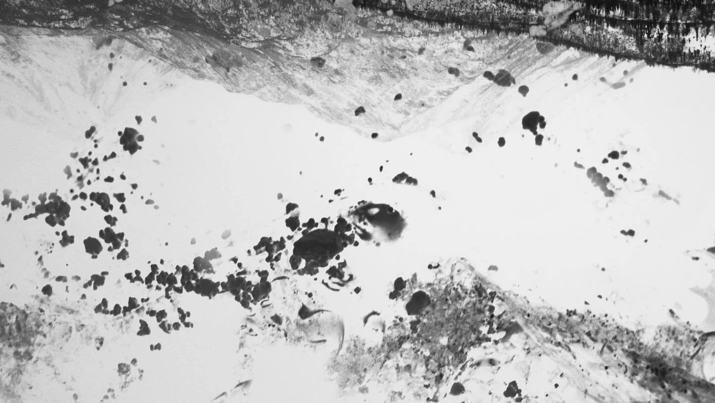 Bing Lu
bare, 2025
Photograph with ink
7 x 12 in. | 17.78 x 30.48 cm (image)
13 x 19 in. | 33.02 x 48.26 cm (with border)
Hands and Minds in Celebration: A Staff Exhibition
Featuring works by Ayano @ayanayanon, Jeff Gomez @jeff_gomez._, Mandy Henso