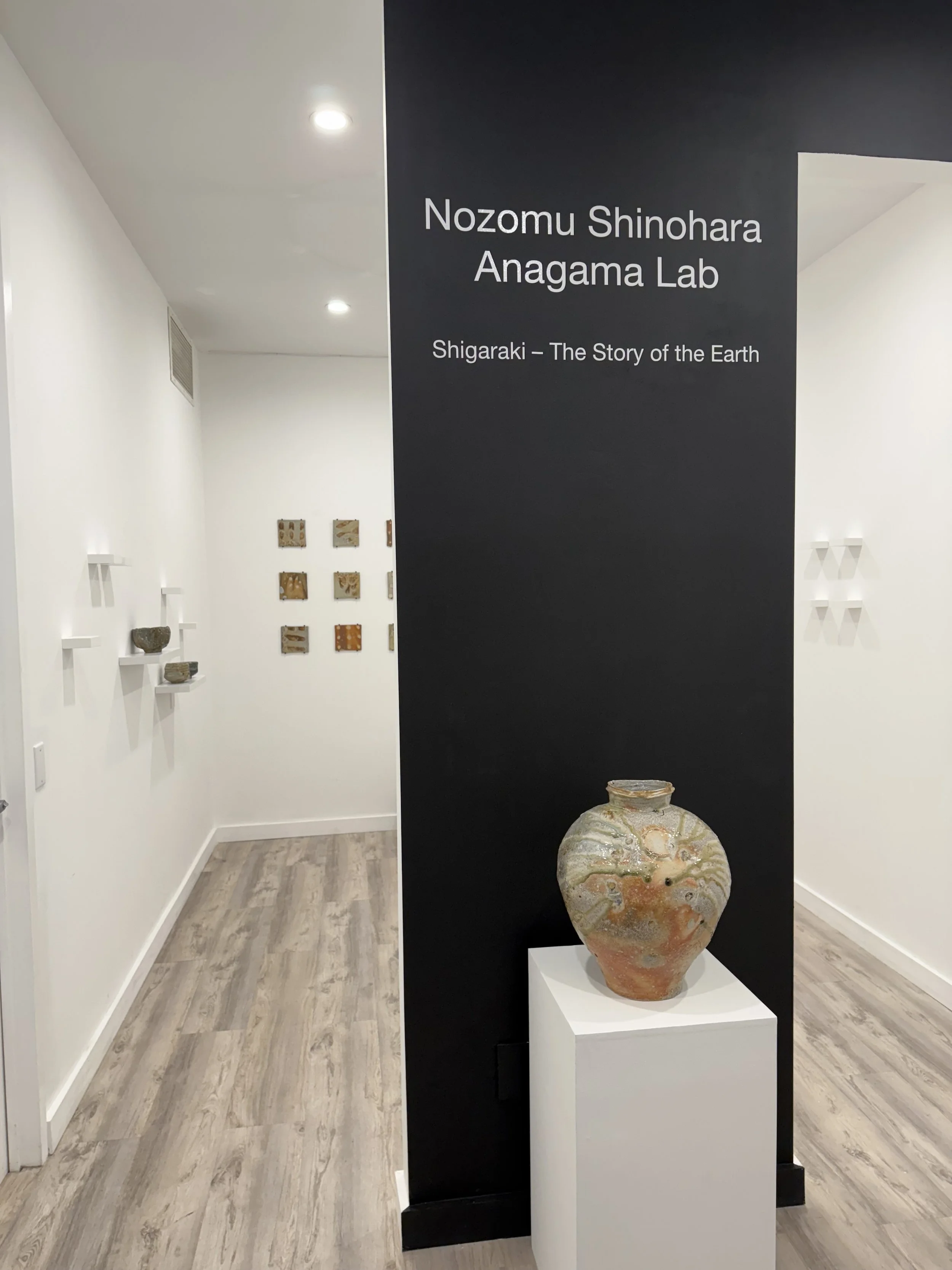 NOZOMU_SHINOHARA_EMAIL2.jpeg