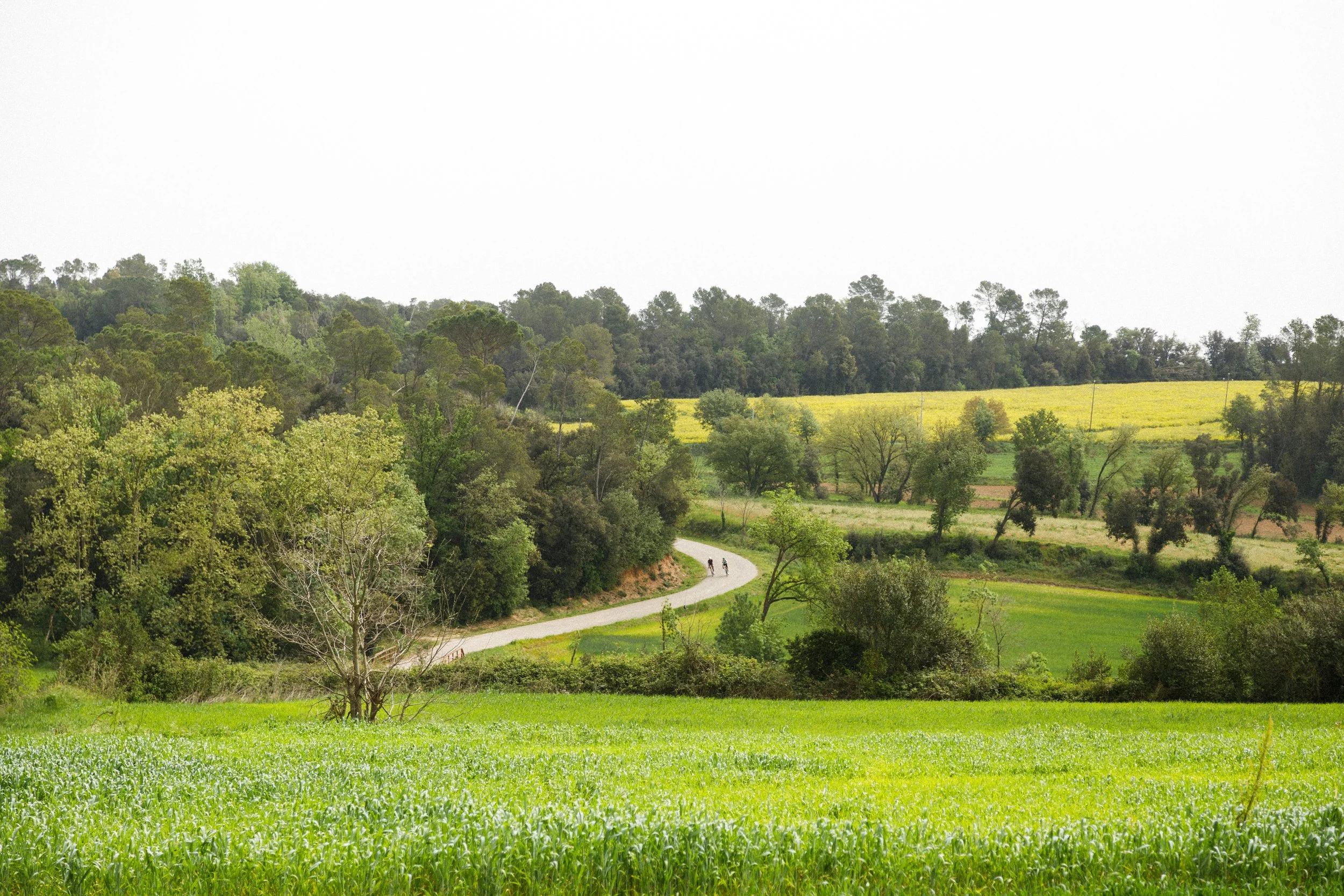 DXR_0417.jpg