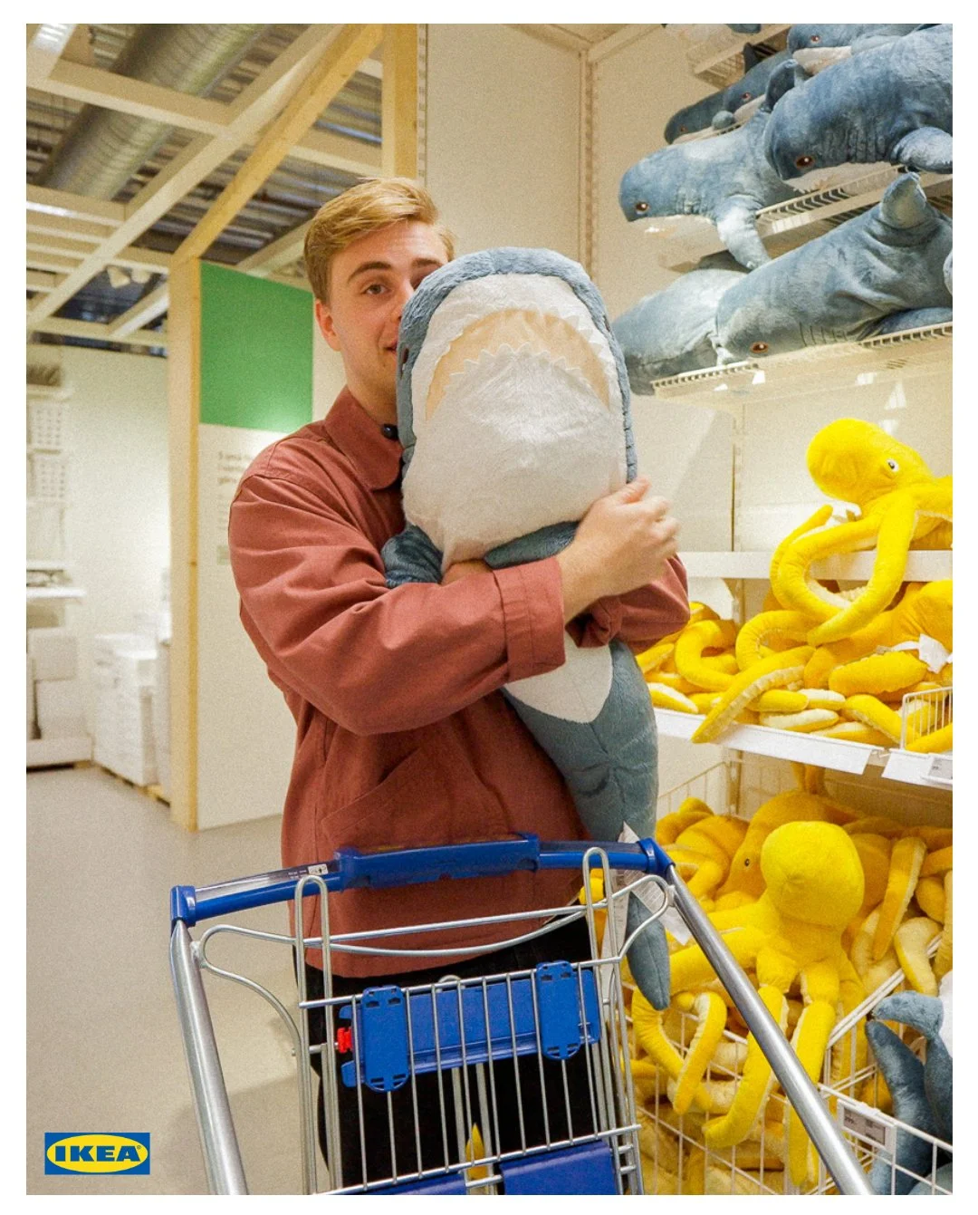 Truls 13.jpg