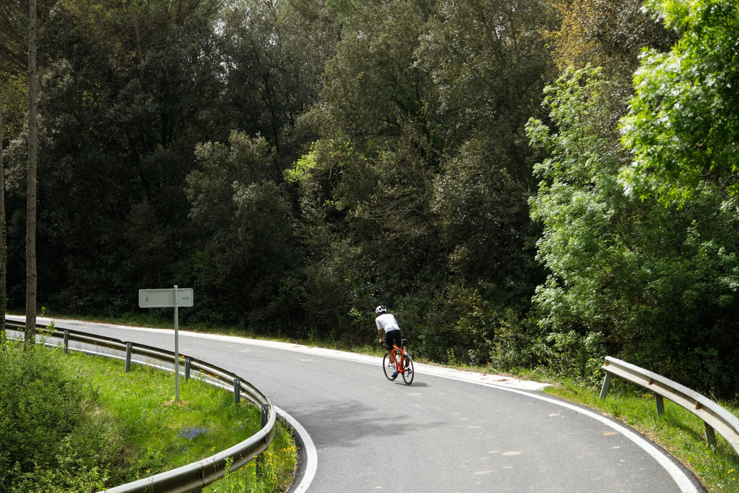 DXR_0939.jpg