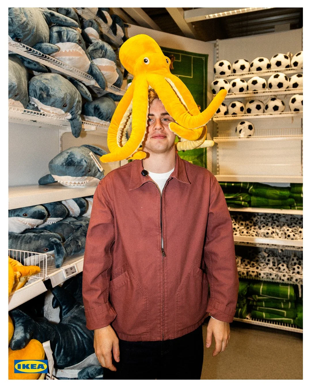 Truls 6.jpg